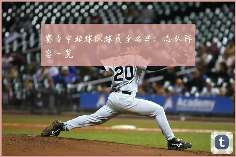 赛季中超球队球员全名单：各队阵容一览